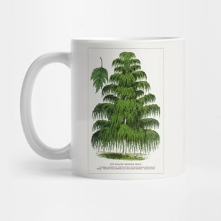 Weeping Birch Tree lithograph (1900) Mug